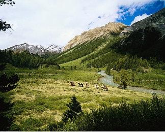 《战地》老大：新《战地》销量绝对有可能超过《使命召唤》